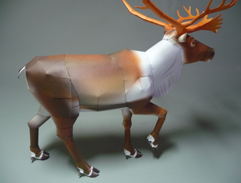 Reindeer - Sob (Plná velikost v novém okně) Reindeer - Sob