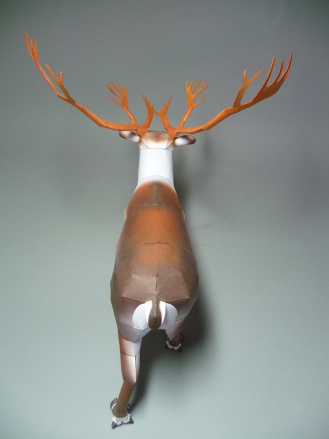 Reindeer - Sob Reindeer - Sob