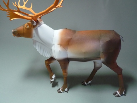 Reindeer - Sob Reindeer - Sob