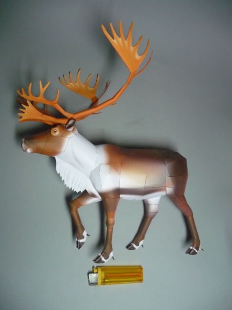 Reindeer - Sob Reindeer - Sob