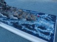 RICHELIEU