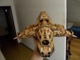 Betty z Aliens 4:Ressurection