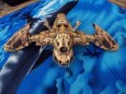 Betty z Aliens 4:Ressurection