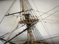 ROYAL CAROLINE 1749