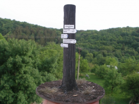 Rozcestn�ky