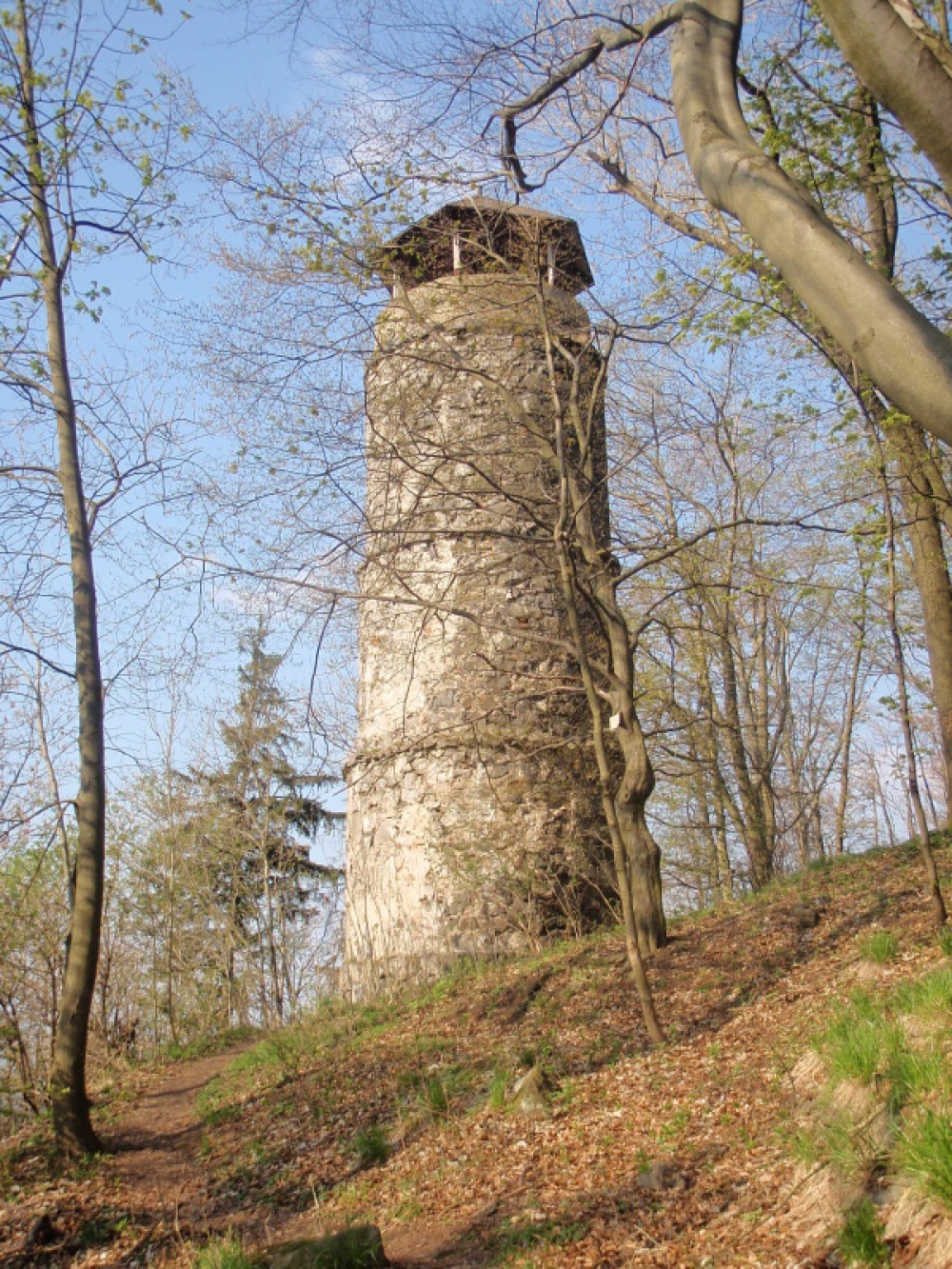 rozhledna Bučina (Plná velikost v novém okně) rozhledna Bučina