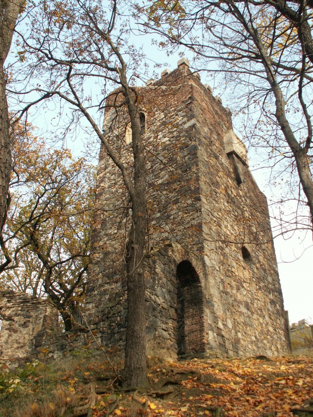 rozhledna Cibulka (Plná velikost v novém okně) rozhledna Cibulka