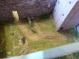 rozhledna Z�meck� vrch