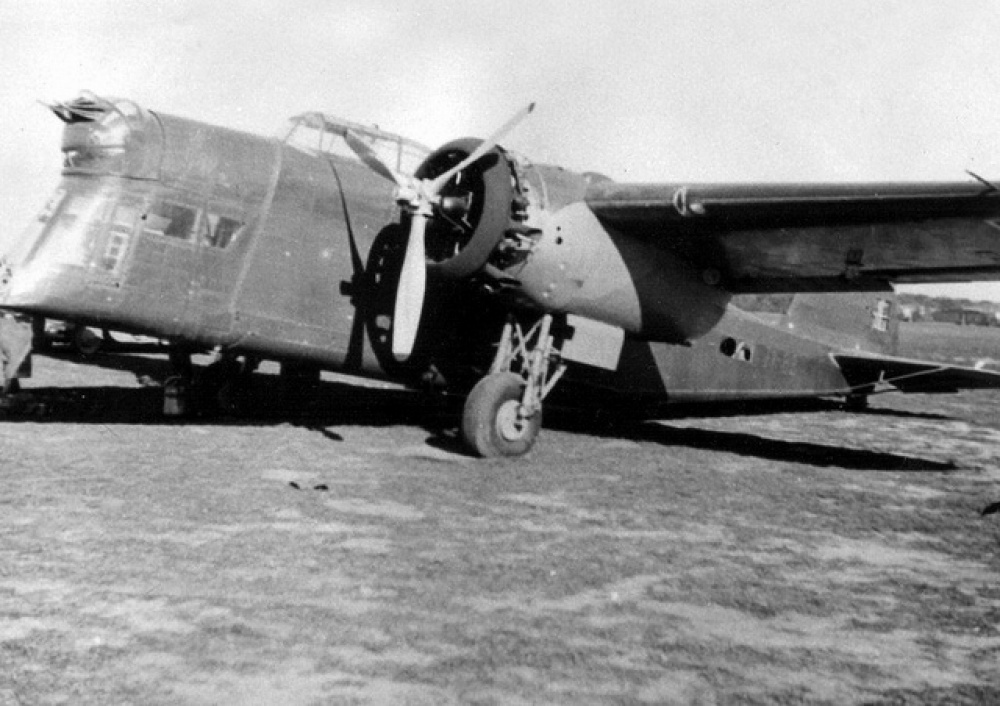 RWD-6(hybrid)