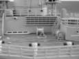 S.M.S L�tzow