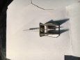 Scharnhorst 1/150