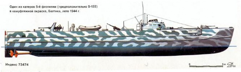 50231