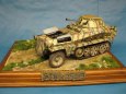 Sd.Kfz. 250/9 Ausf A - Kov��