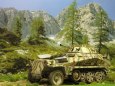 Sd.Kfz. 250/9 Ausf A - Kov��