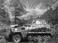 Sd.Kfz. 250/9 Ausf A - Kov��