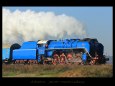 ostatn�