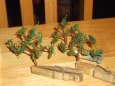 SdKfz 234 Puma