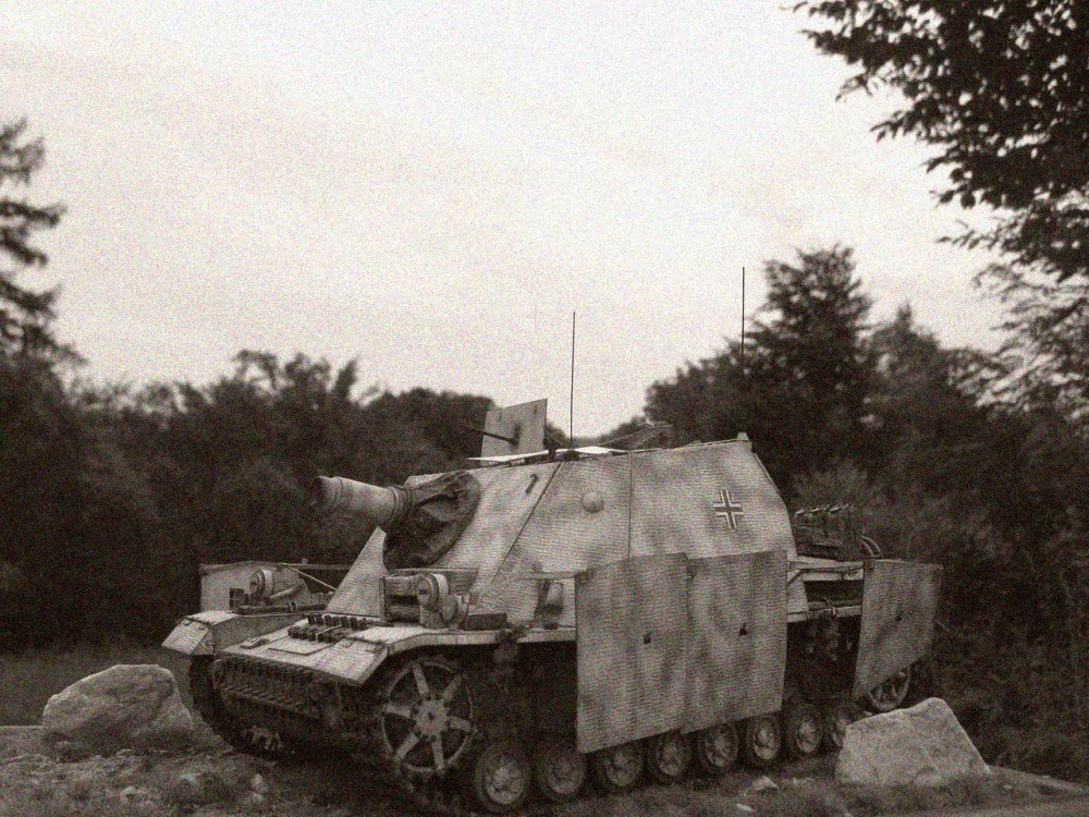 276568