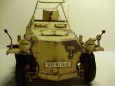 SDKFZ 250