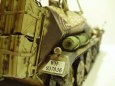 SDKFZ 250