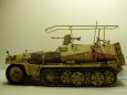 SDKFZ 250