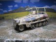 SDKFZ 250