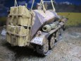 SDKFZ 250