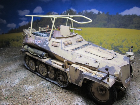 SDKFZ 250