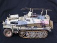 Sd. Kfz. 250/3