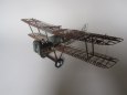 SE5a