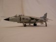 SEA HARRIER FRS Mk 1