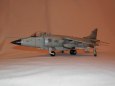 SEA HARRIER FRS Mk 1