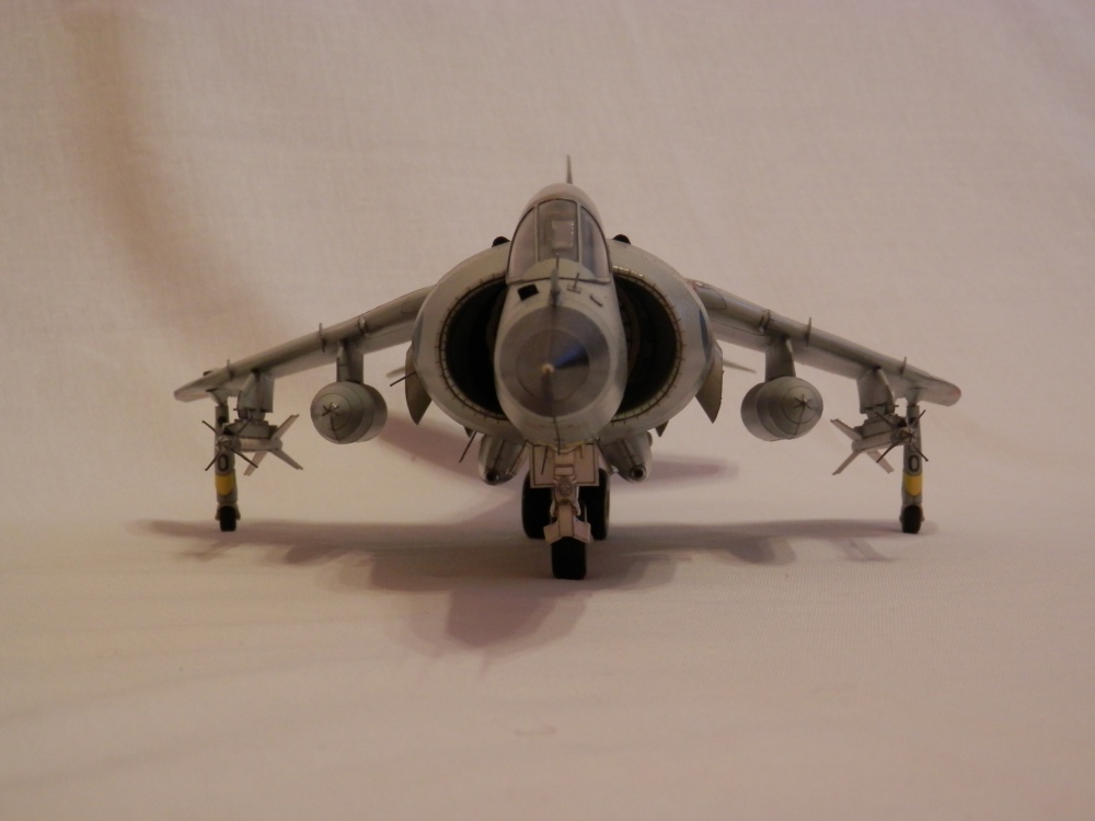 SEA HARRIER FRS Mk 1 (Plná velikost v novém okně) SEA HARRIER FRS Mk 1