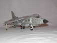 SEA HARRIER FRS Mk 1