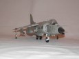 SEA HARRIER FRS Mk 1