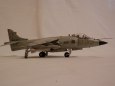 SEA HARRIER FRS Mk 1