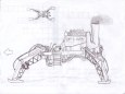 The Brilliant Spider-6.8055