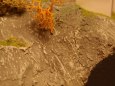 Skuhrov nad B�lou