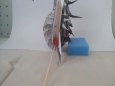 Skyrim dragon