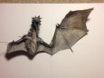 Skyrim dragon