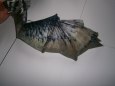 Skyrim dragon
