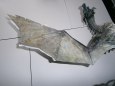 Skyrim dragon