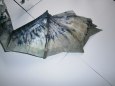 Skyrim dragon