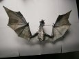 Skyrim dragon