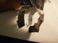 Skyrim dragon