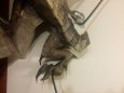 Skyrim dragon