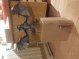 Skyrim dragon