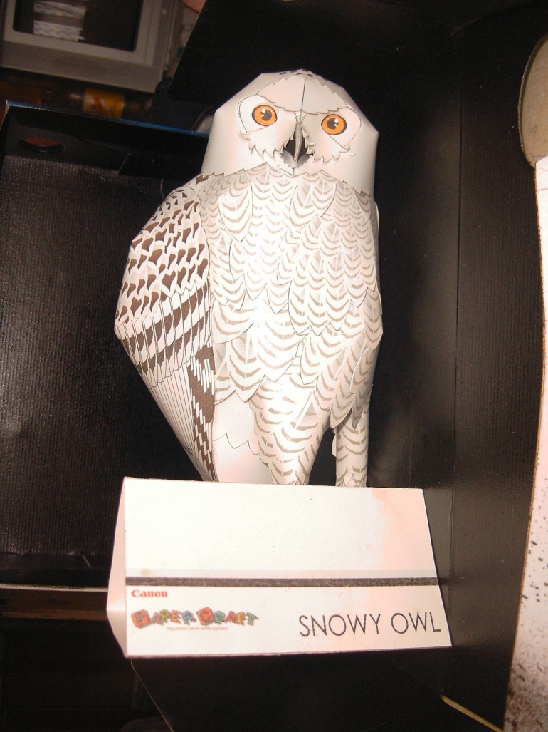 Snežná sova 1 (Plná velikost v novém okně) Snežná sova 1