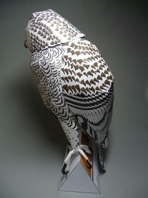 Snowy Owl - Sn�n� sova