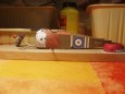 Sopwith F.1 Camel